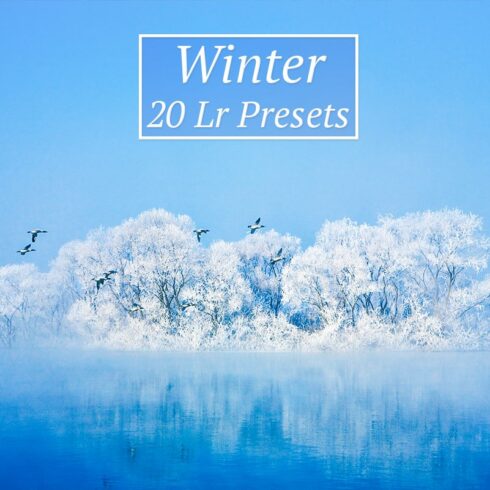 20 Winter Lr Presetscover image.