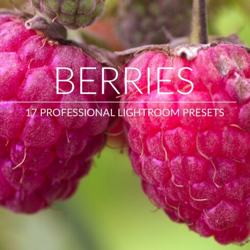 Berries Lr Presetscover image.
