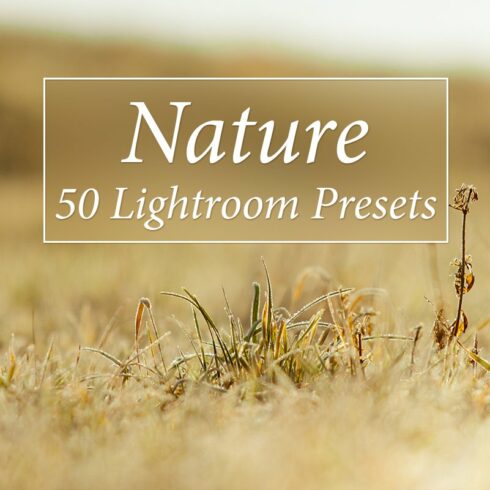 50 Nature Lr Presetscover image.