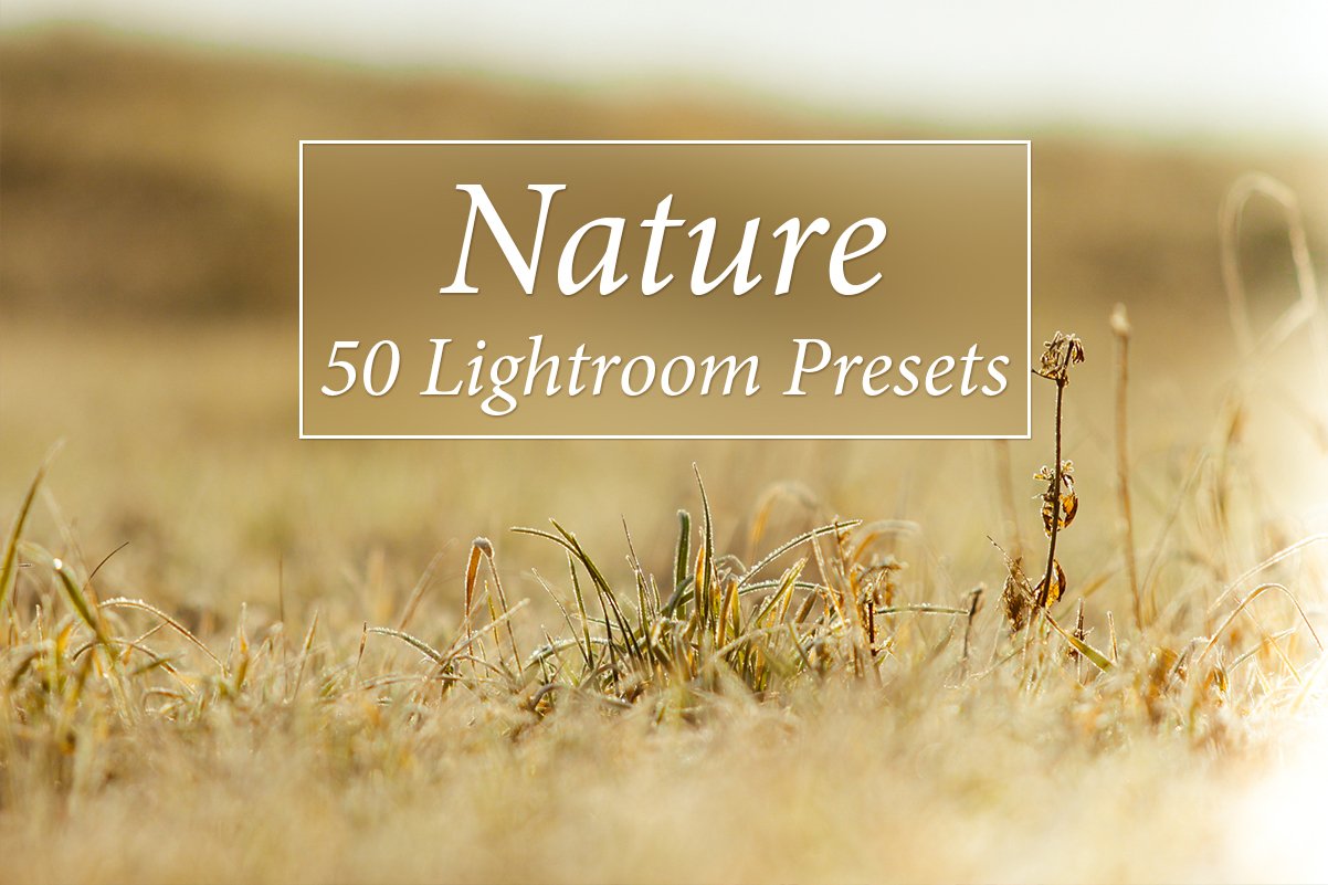 50 Nature Lr Presetscover image.