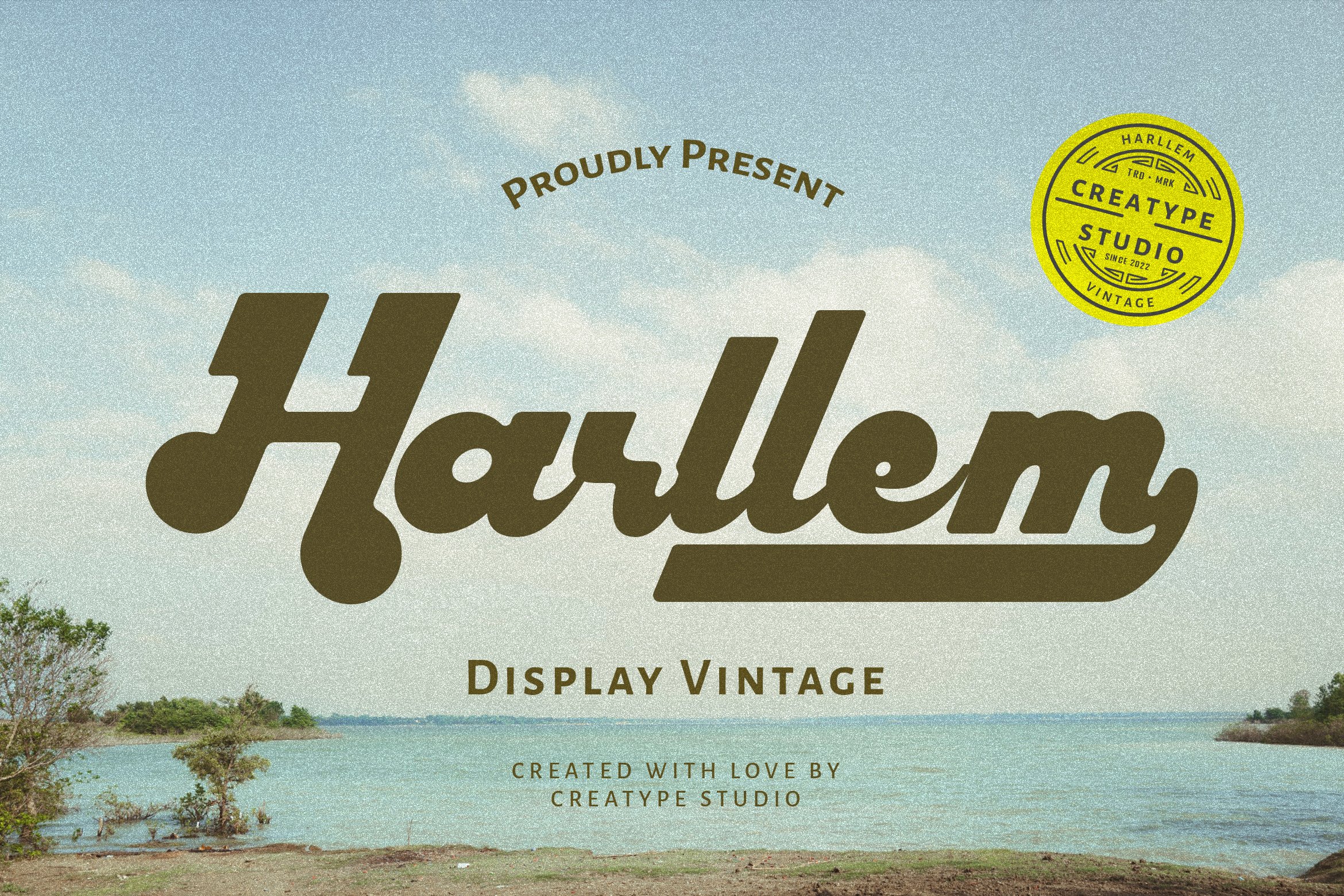 Harllem Display Vintage cover image.