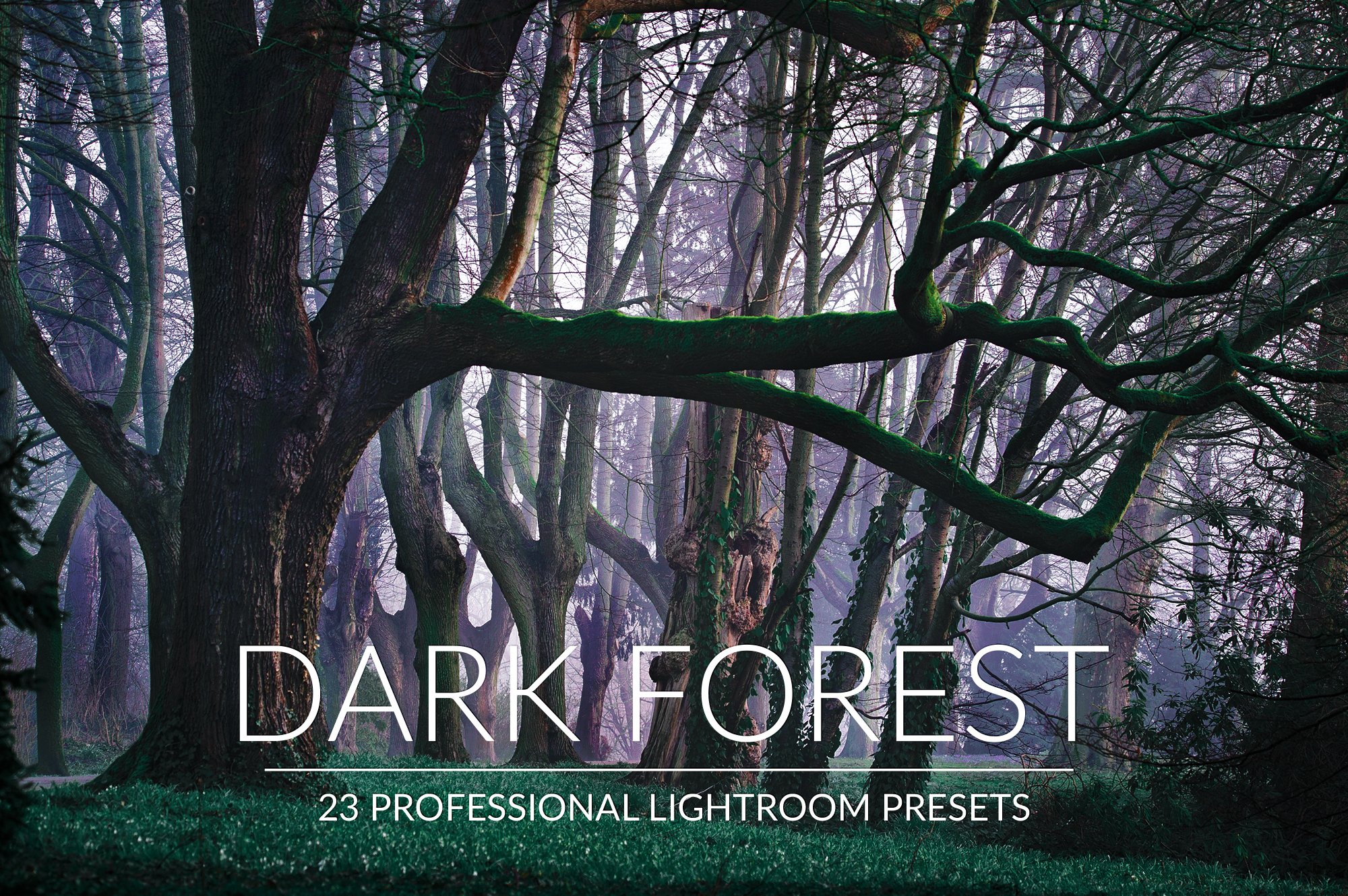 Dark Forest Lr Presetscover image.