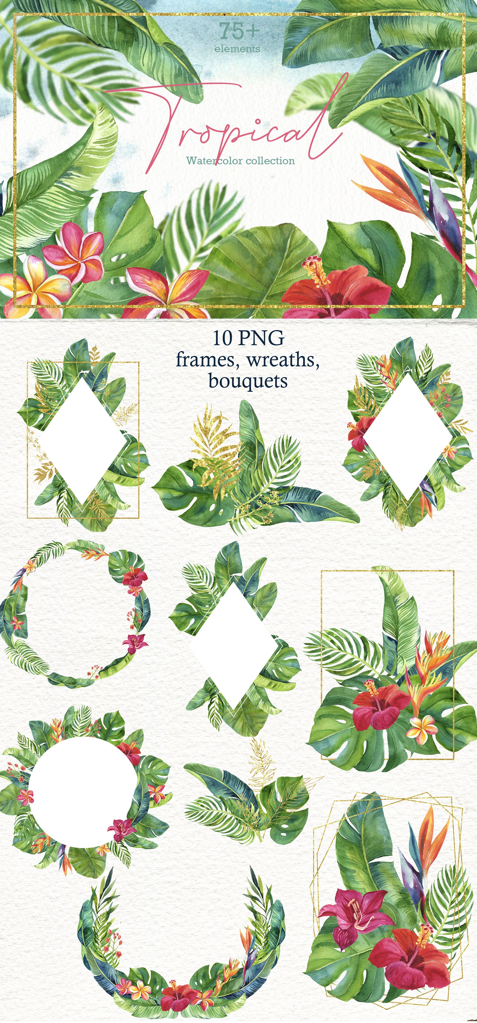 Tropic leaves&flowers Watercolor set cover image.