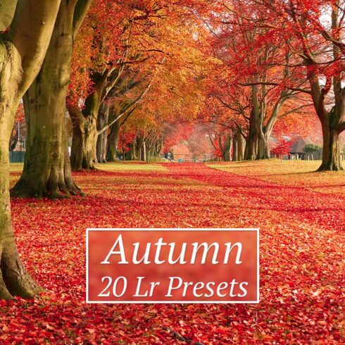 20 Autumn Lr Presetscover image.