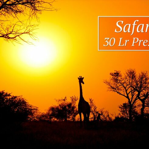 30 Safari Lr Presetscover image.