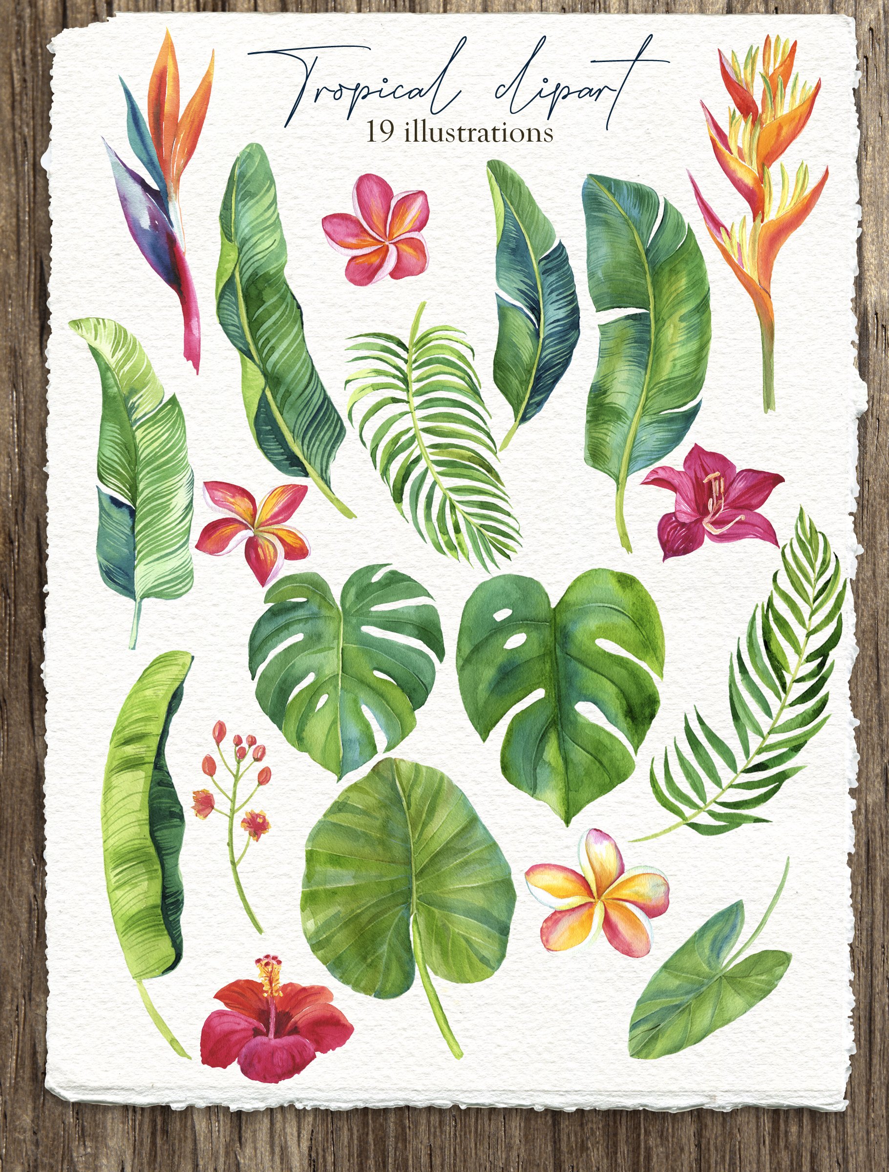 Watercolor painting of tropical leaves and flowers by Leticia Gillett.