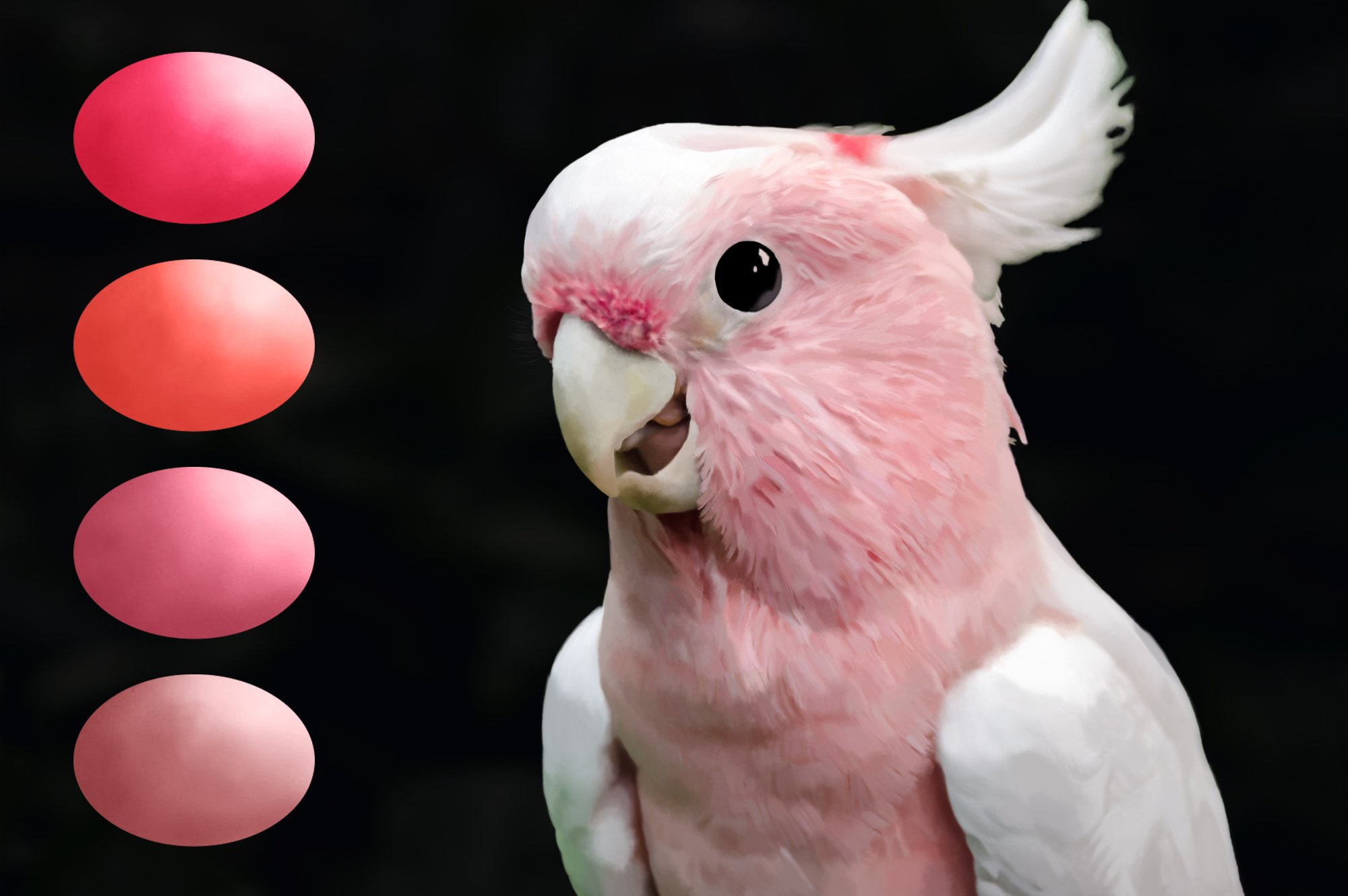 Parrot Swatchespreview image.