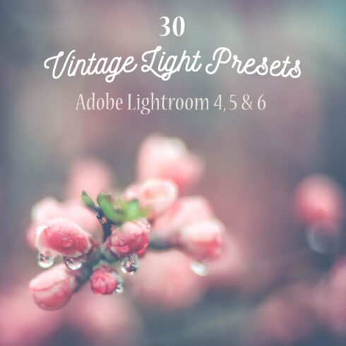 Pack 30 Lightroom Presets Vintagecover image.