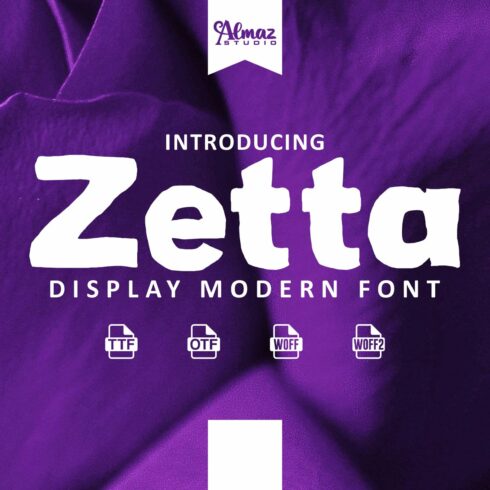 Zetta cover image.