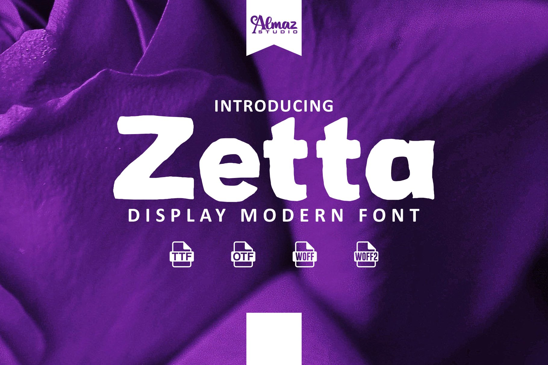 Zetta cover image.