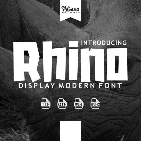 Rhino cover image.