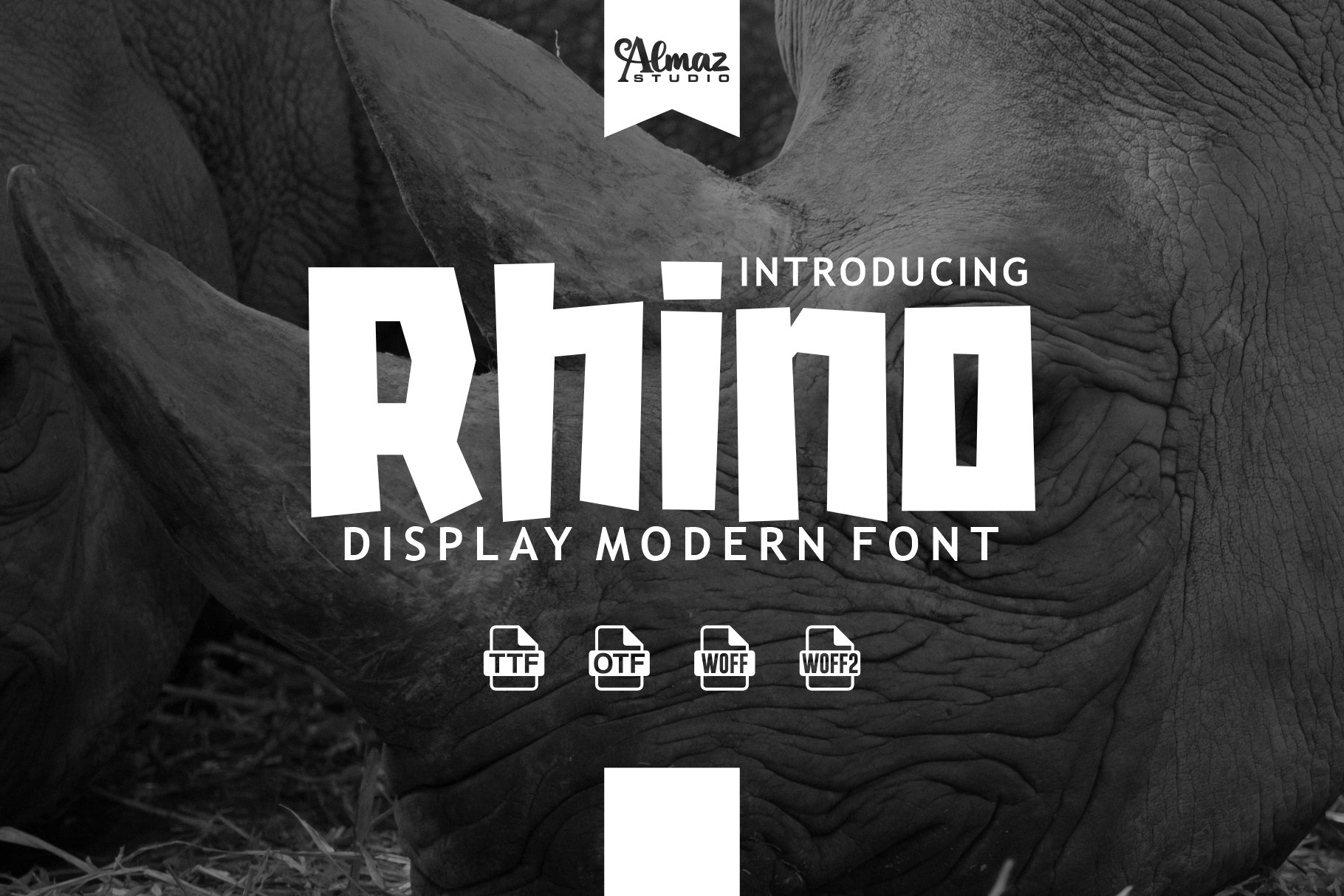 Rhino cover image.