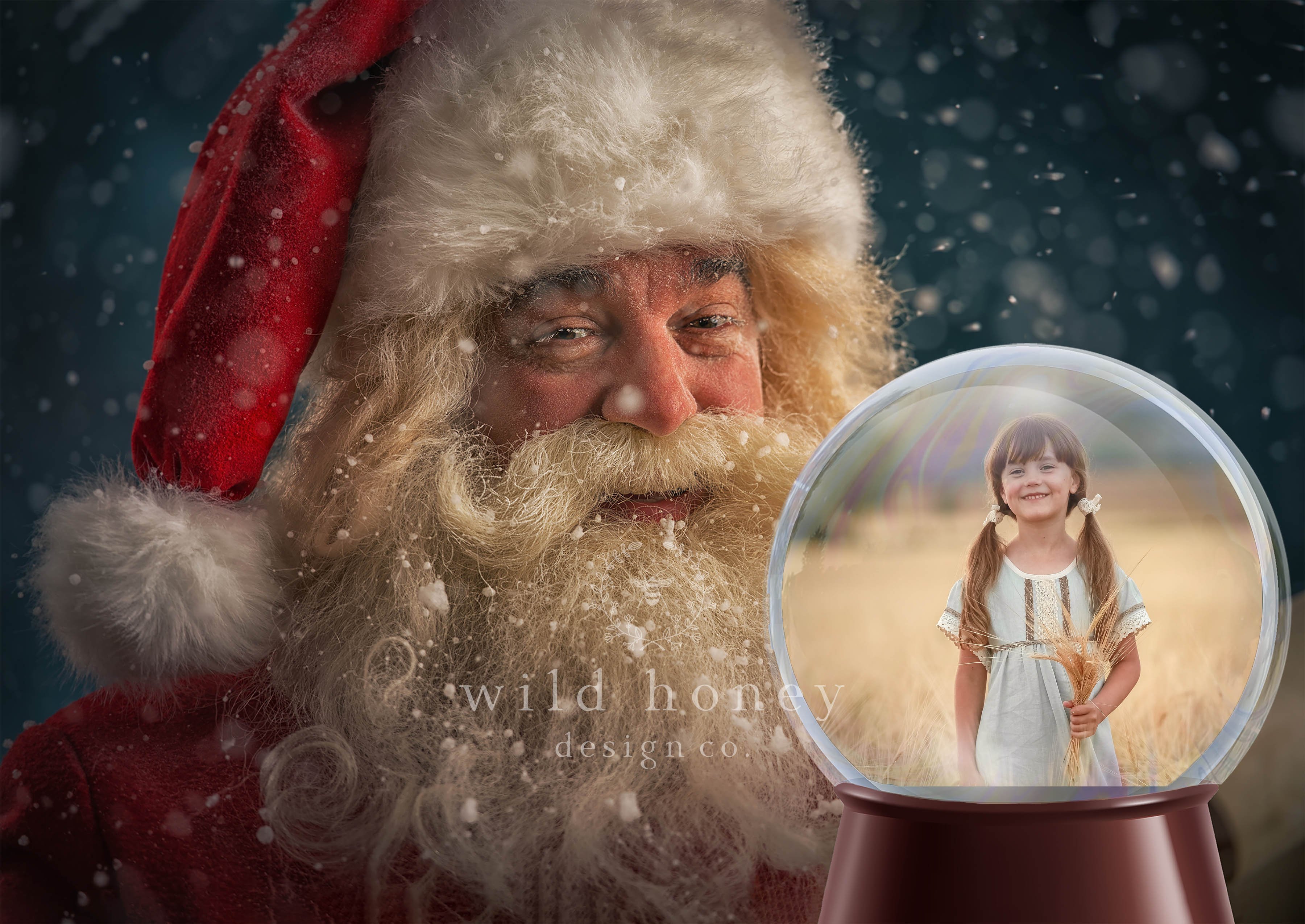 Santa Snowglobe Digital Backdroppreview image.