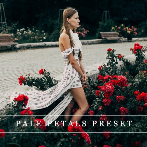 Pale petals - Lightroom presetcover image.