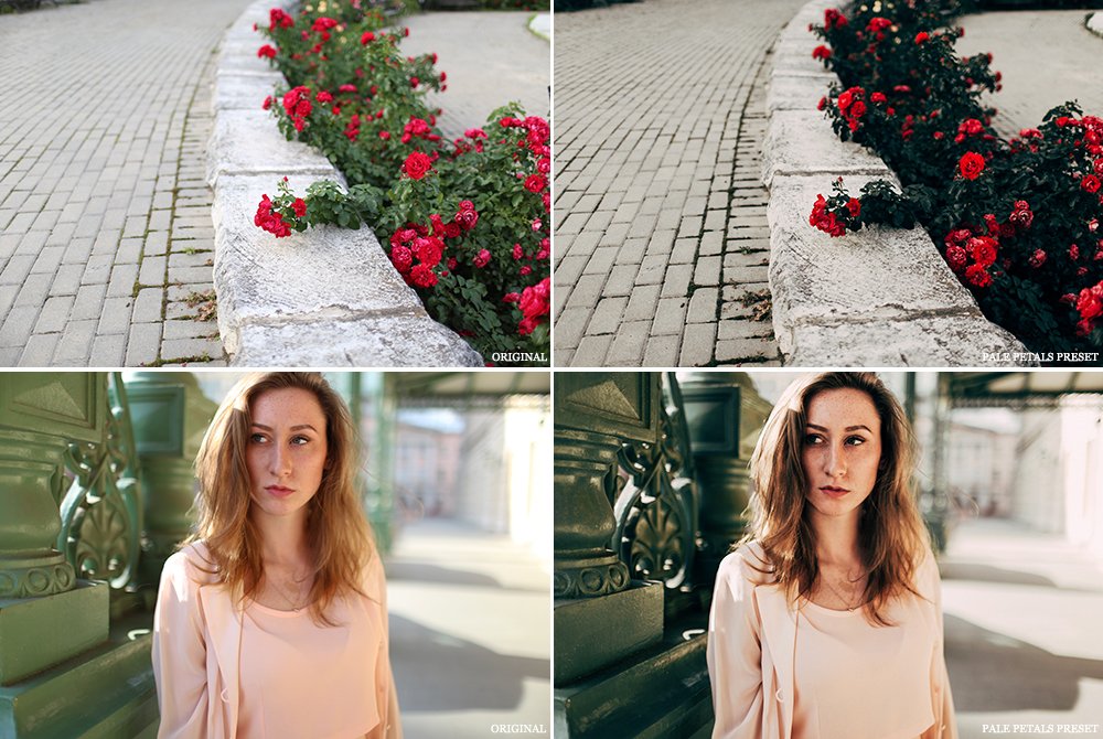 pale petals preset etsy4 794