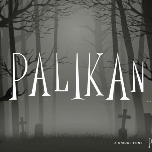 Palikan - Horror Display cover image.