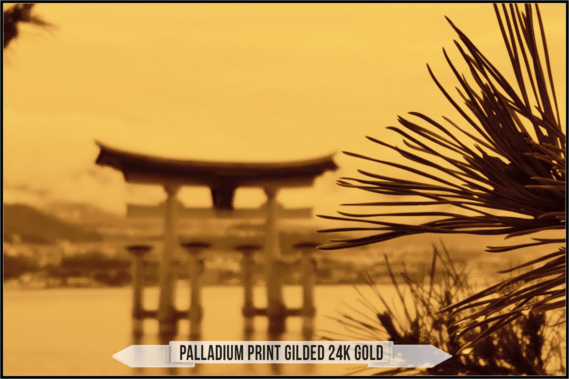 palladium print gilded 24k gold 533