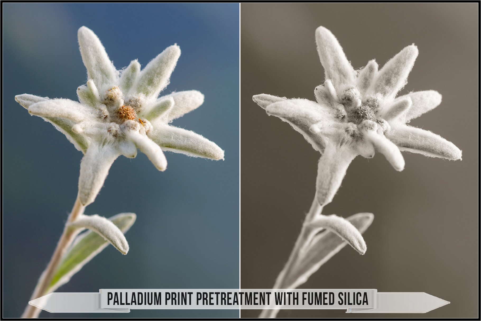 palladium print pretreatment with fumed silica 924