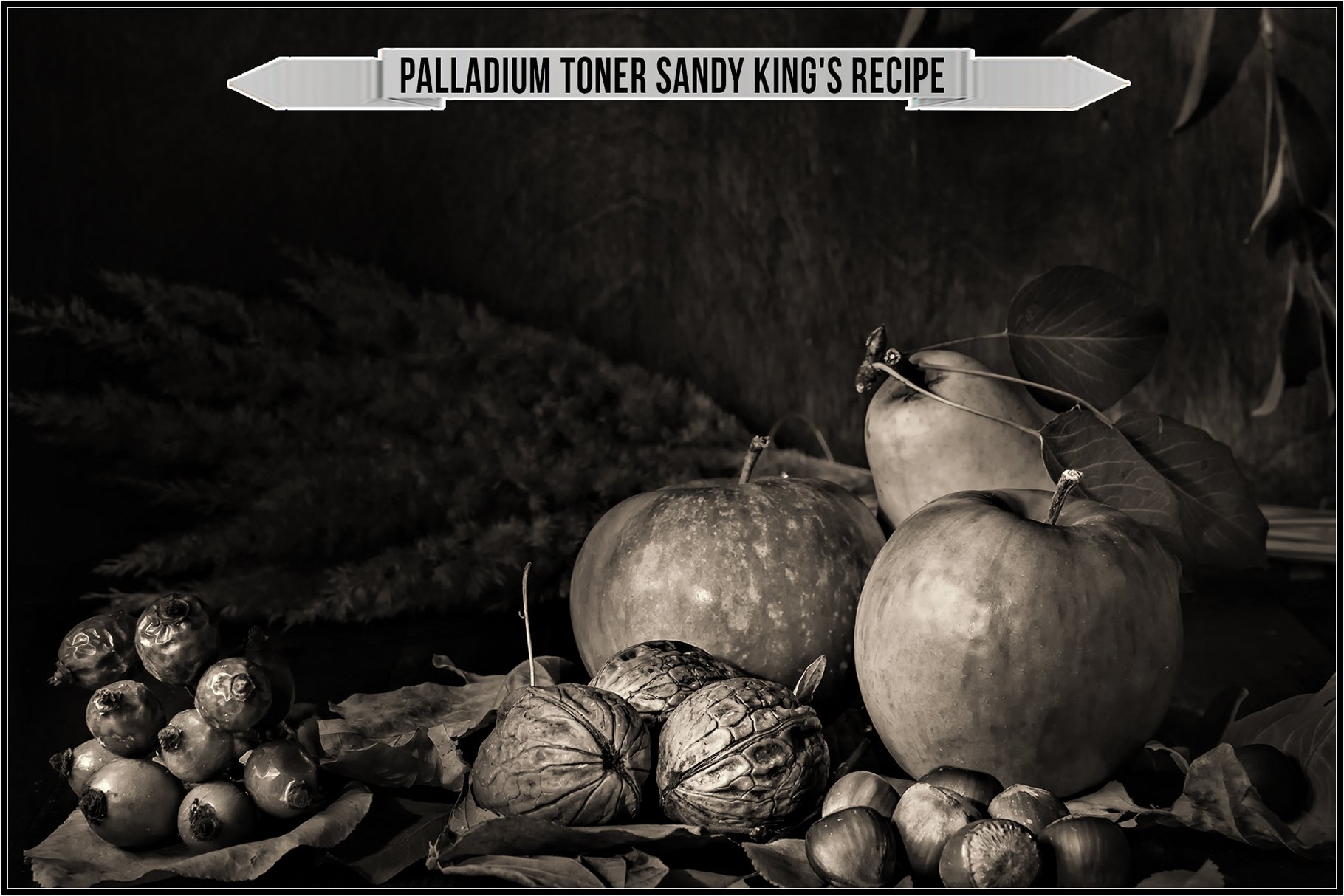 palladium toner sandy kings recipe 701
