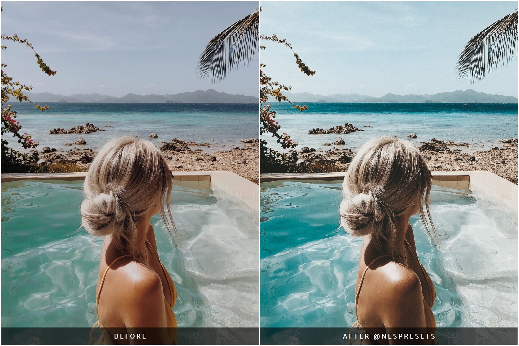 palm beach preset preview 01 902