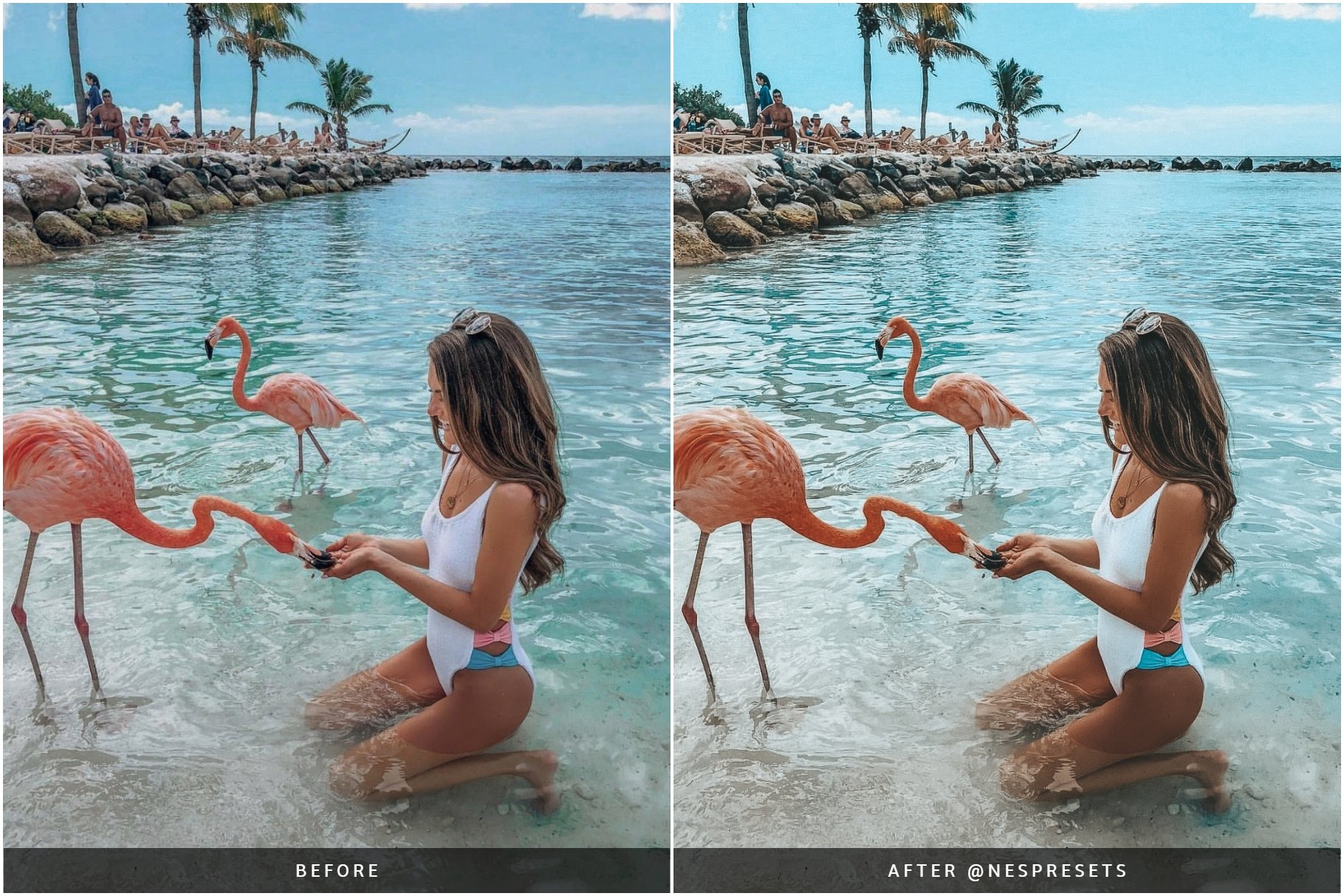 palm beach preset preview 05 6