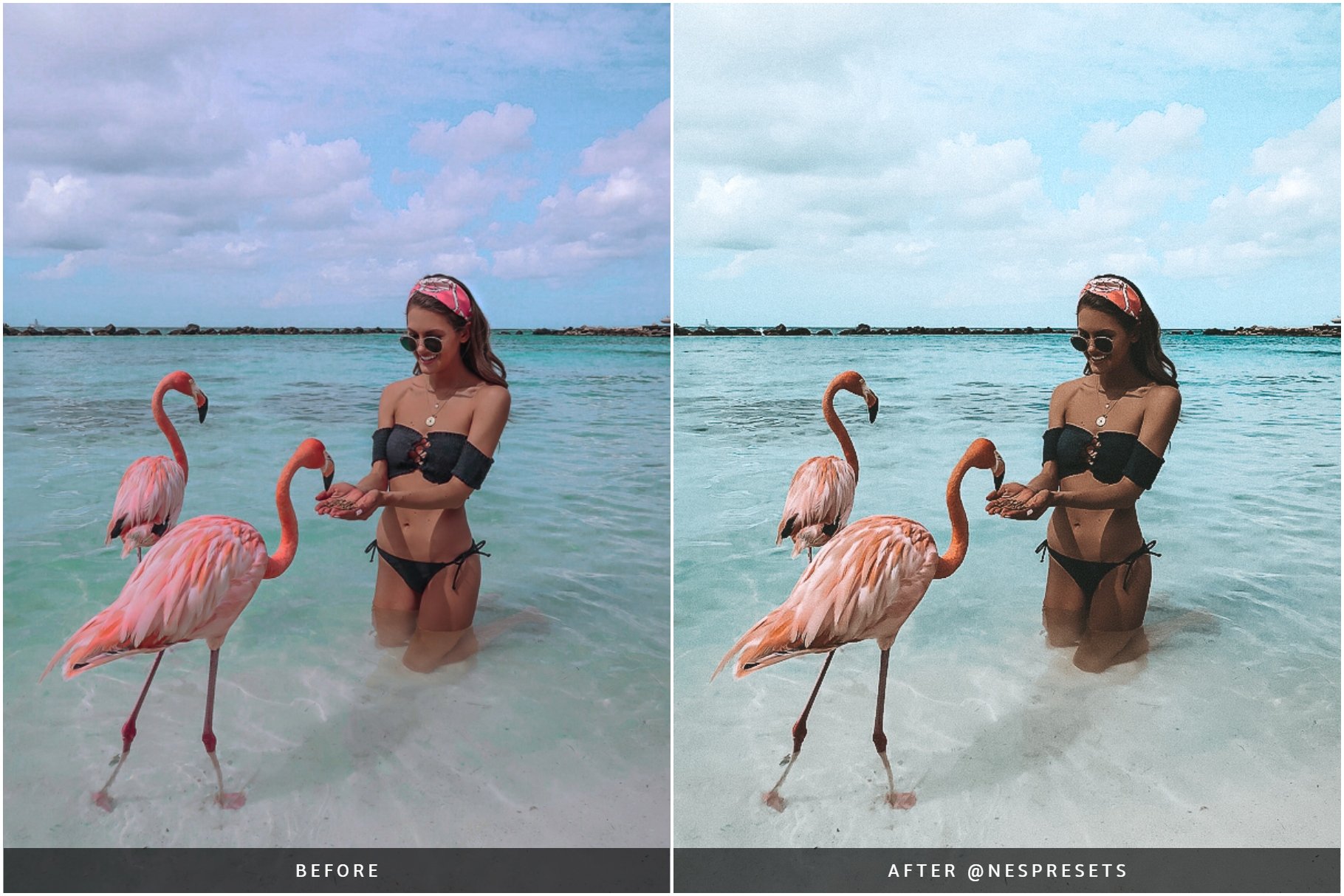 palm beach preset preview 06 213