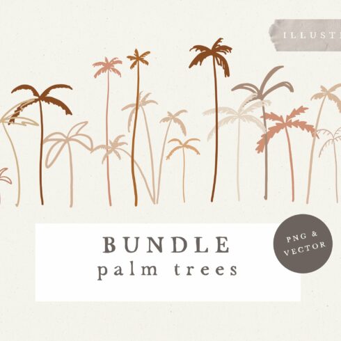Palm Tree Illustration /vector + png cover image.