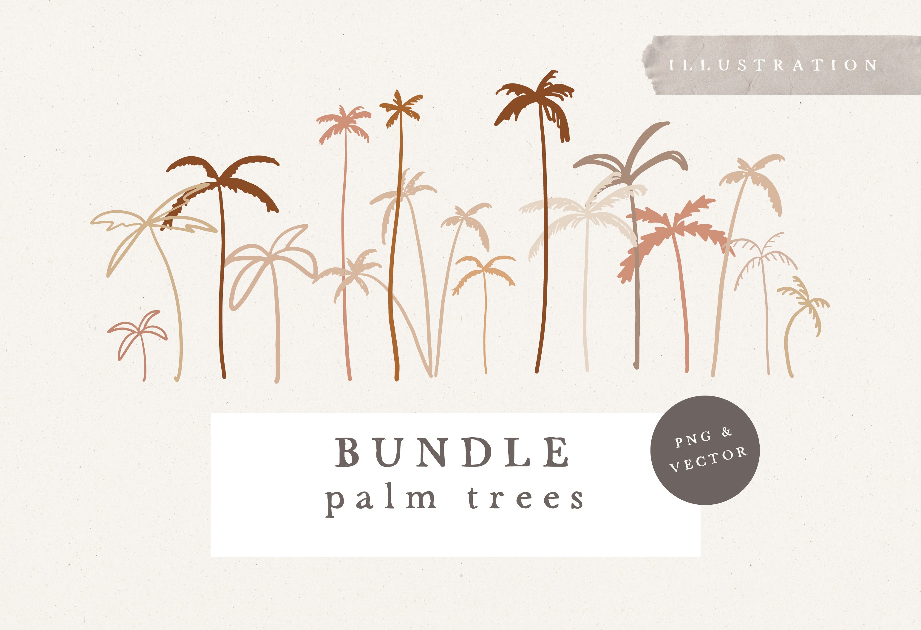 Palm Tree Illustration /vector + png cover image.