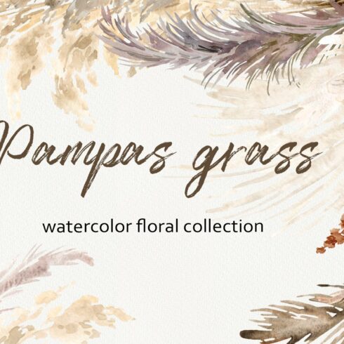 Watercolor pampas grass collection cover image.
