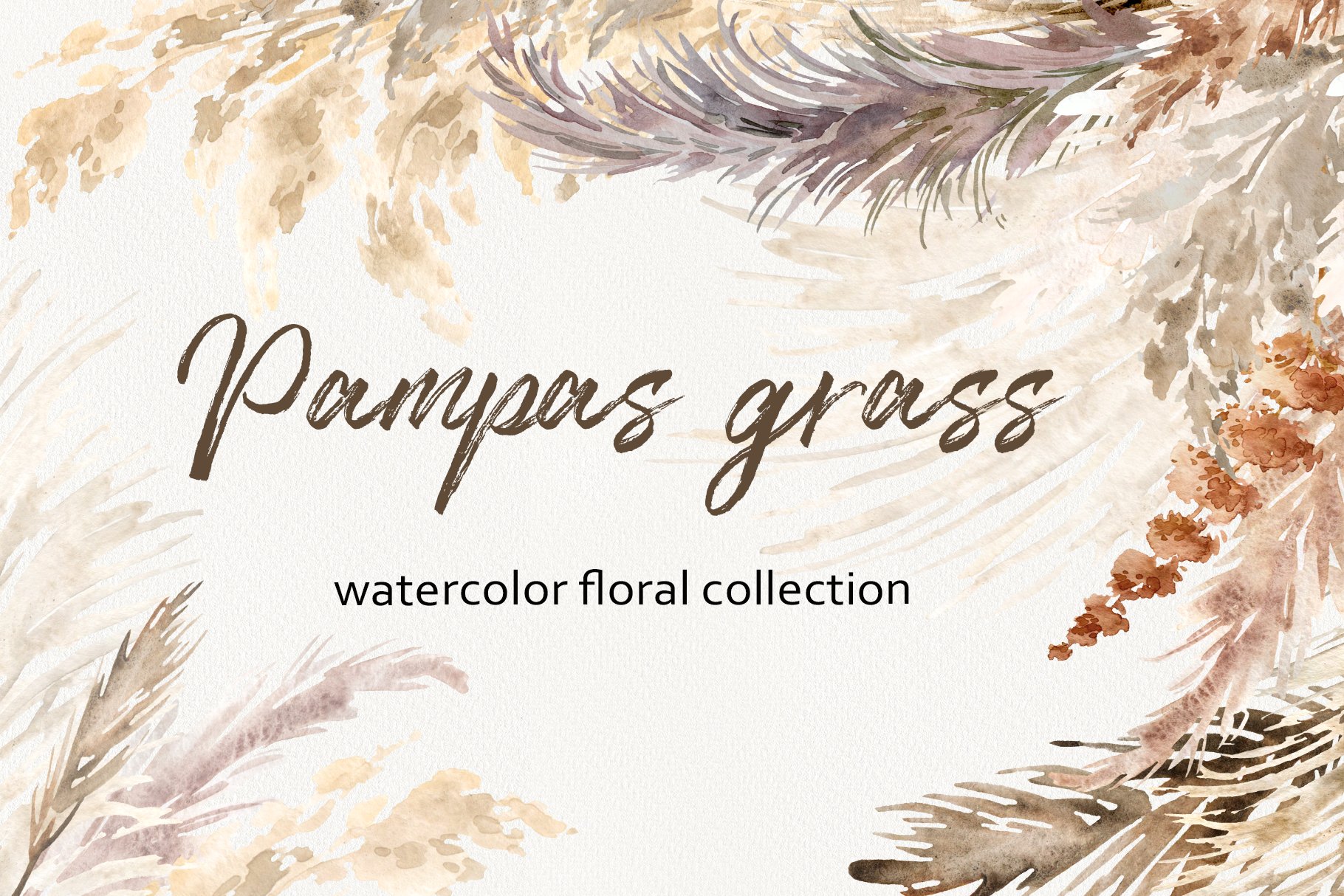 Watercolor pampas grass collection cover image.