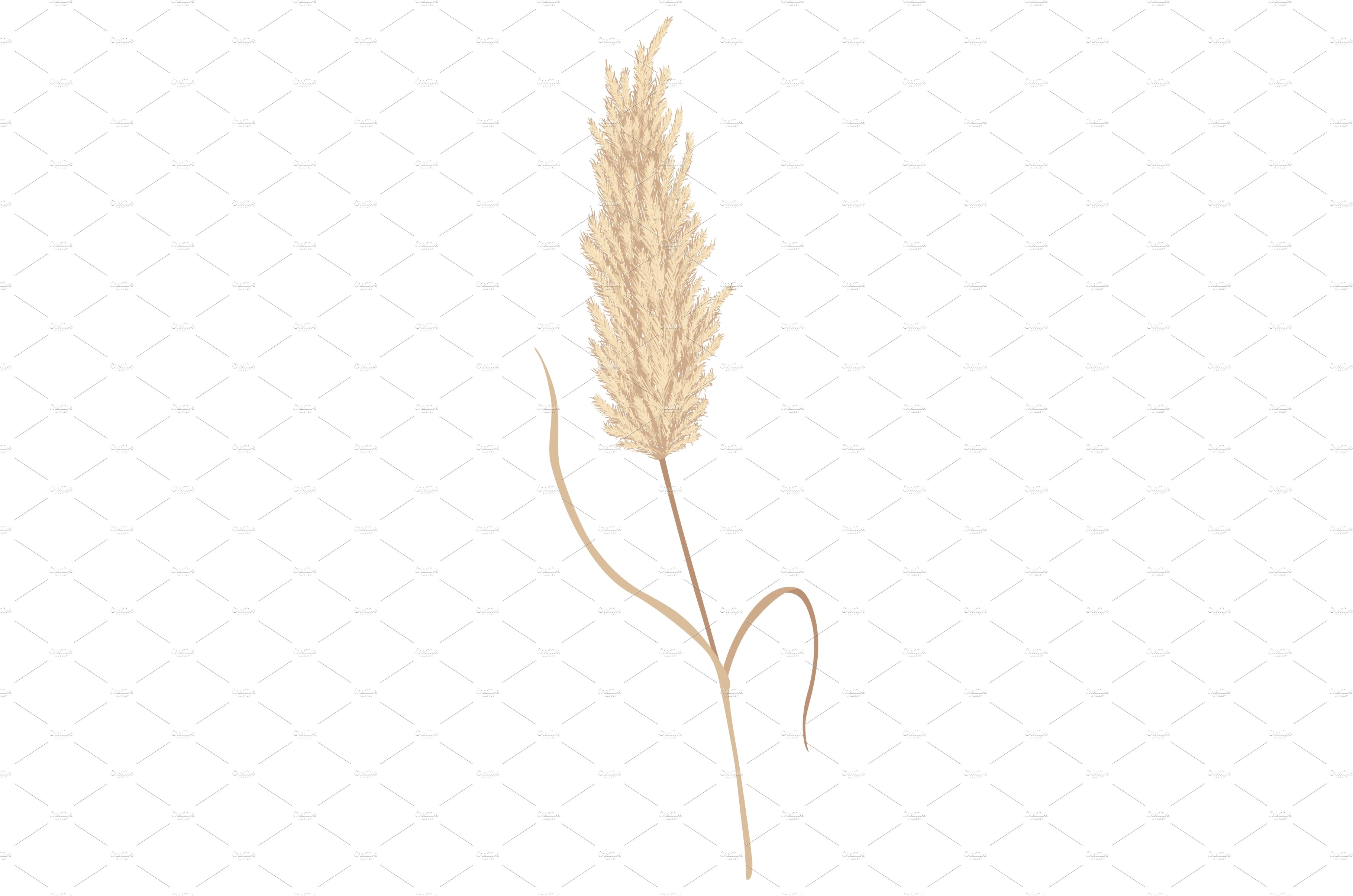 Plant that is standing up against a white background.