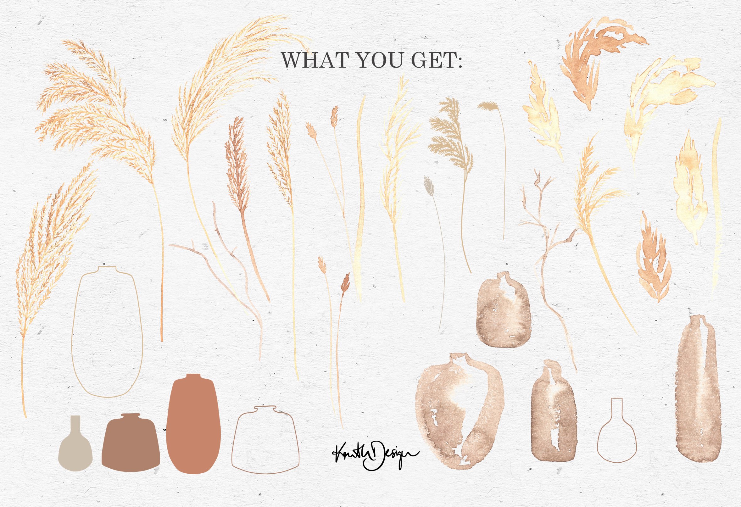 WATERCOLOR PAMPAS GRASS / png vector preview image.