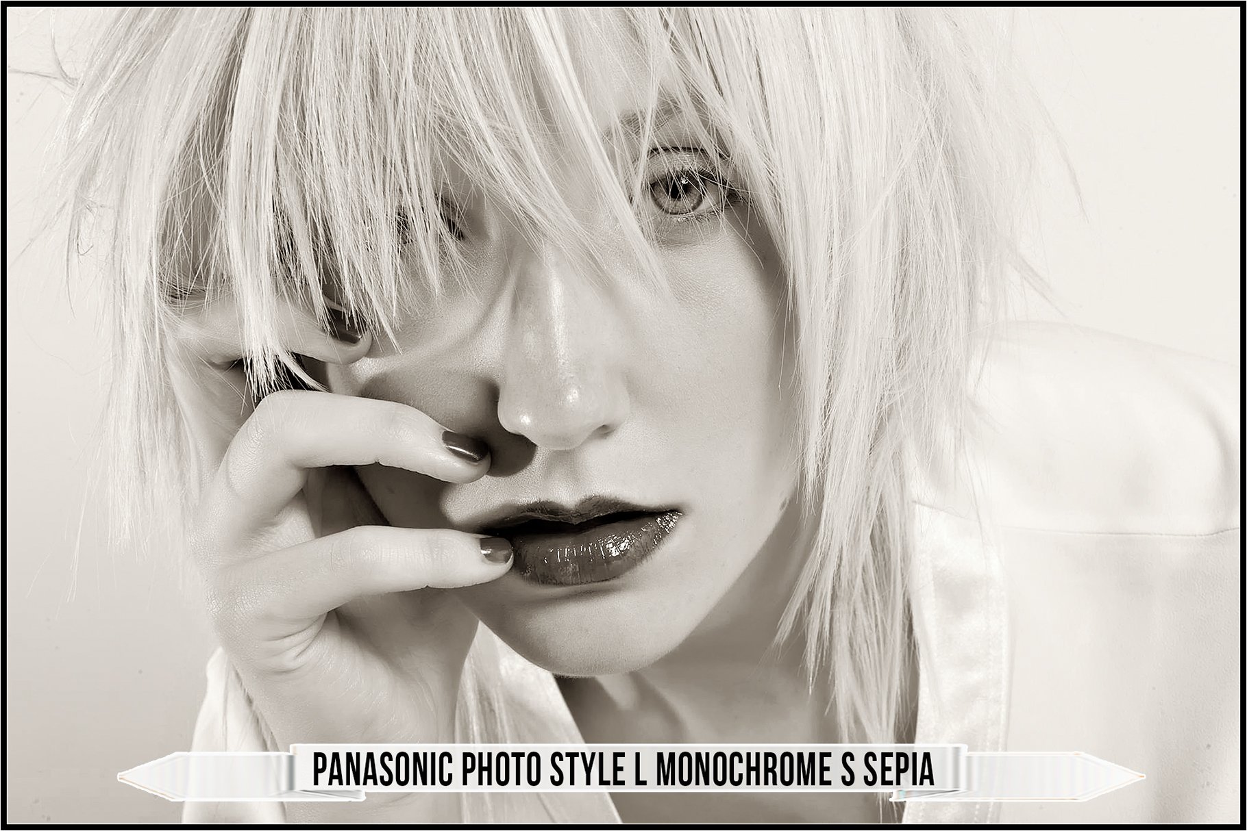 panasonic photo style l monochrome s sepia 556