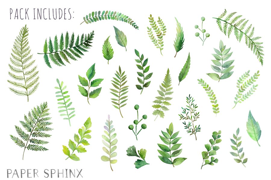 Collection of watercolor leaves and plants.