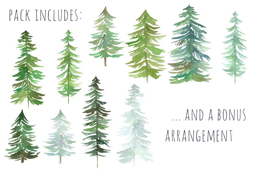 Watercolor Pine Trees Pack preview image.