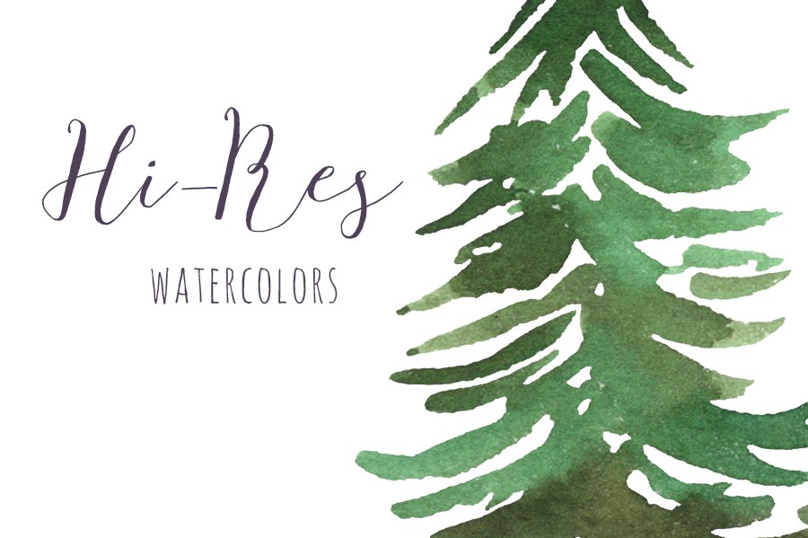 Watercolor painting of a pine tree by Isobelle Ann Dods-Withers.