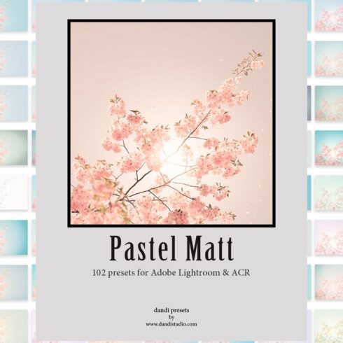 Pastel Matt Adobe presetscover image.