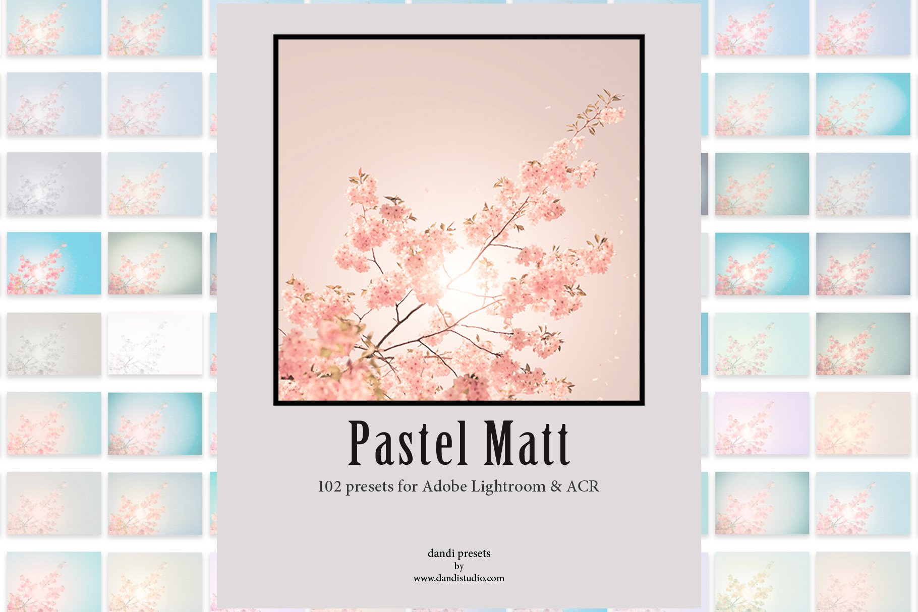 Pastel Matt Adobe presetscover image.