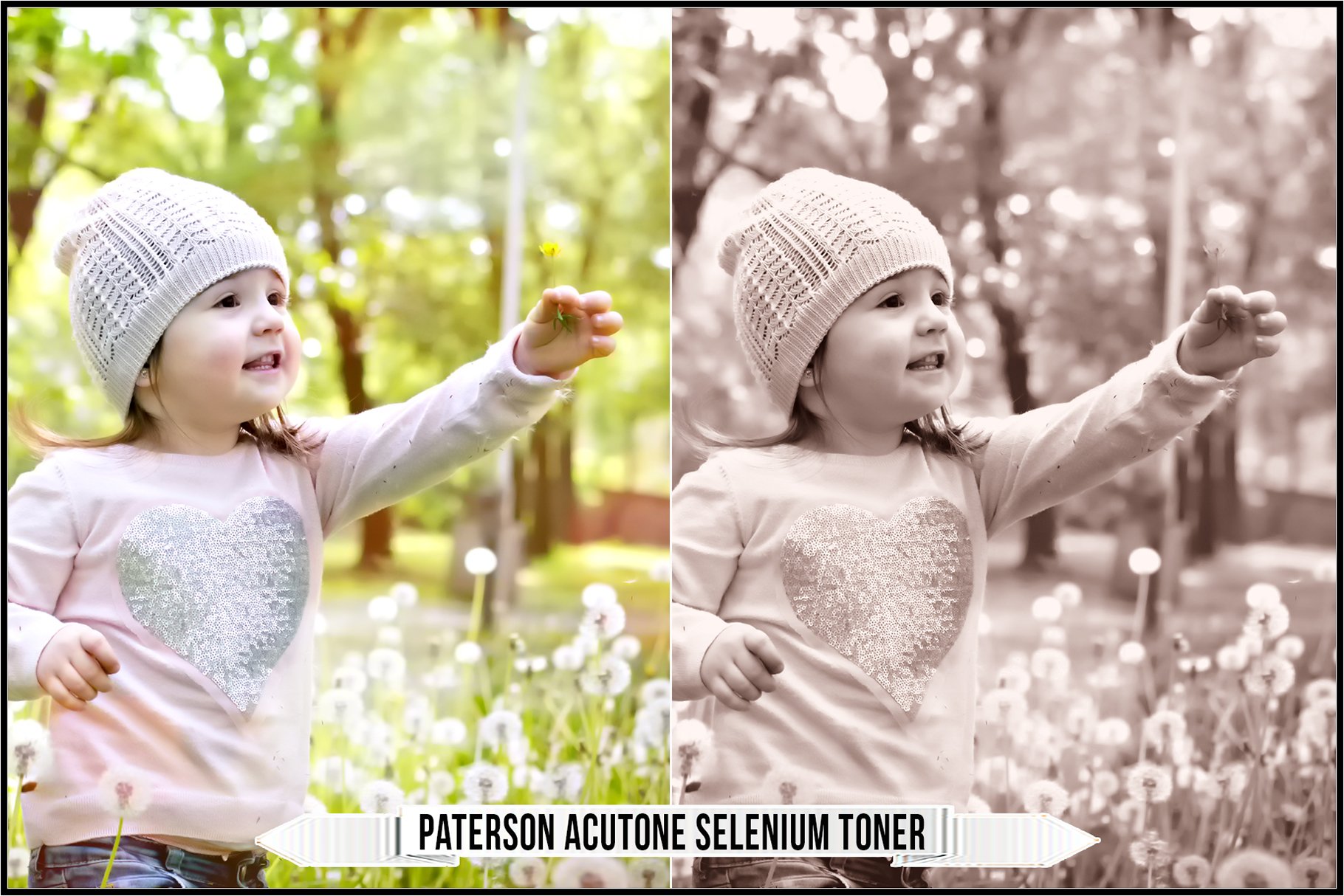 paterson acutone selenium toner 160