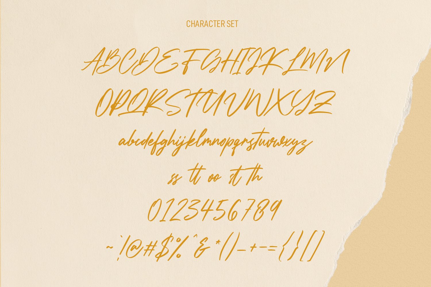 pattyfest signature script font 9 32