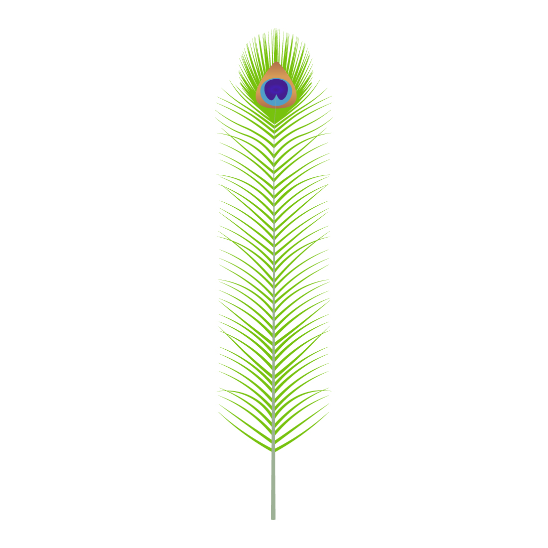 A beautiful peacock feather -1 - MasterBundles