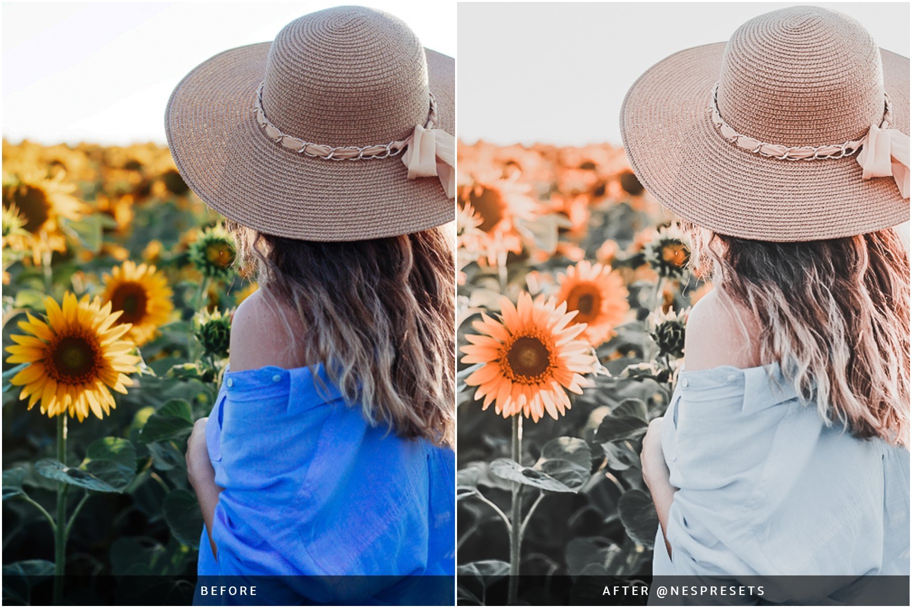 peach light preset preview 04 994