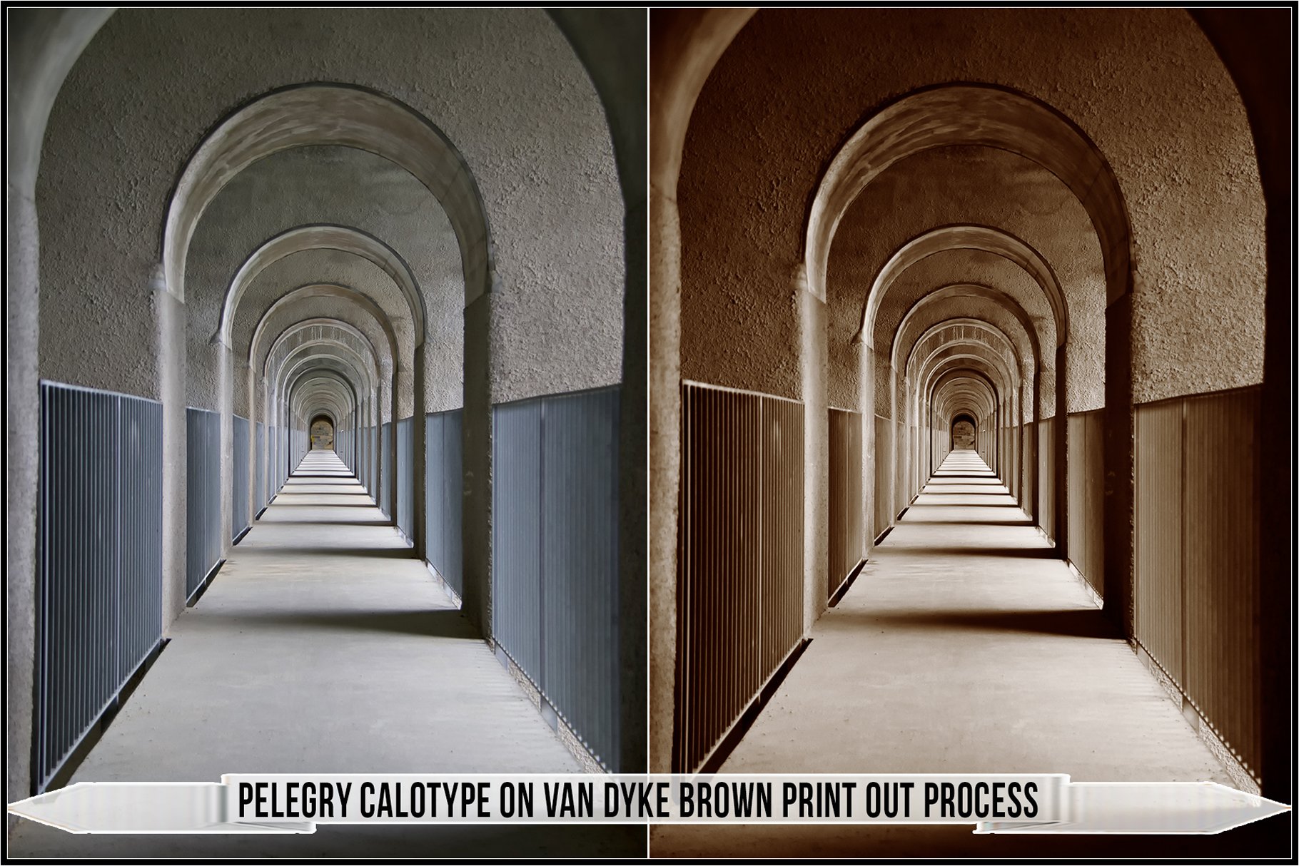 pelegry calotype on van dyke brown print out process 515