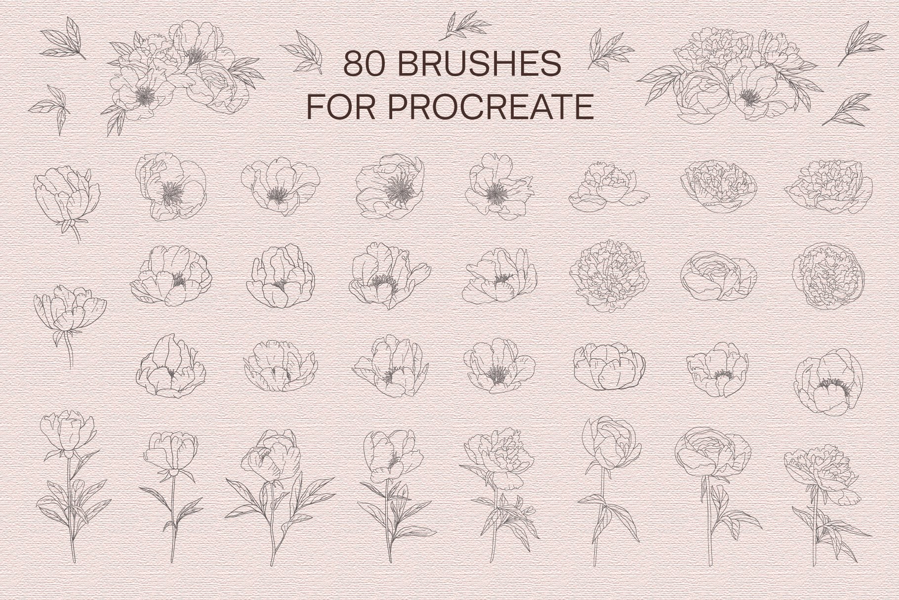 peonies stamp brushes preview 4 965