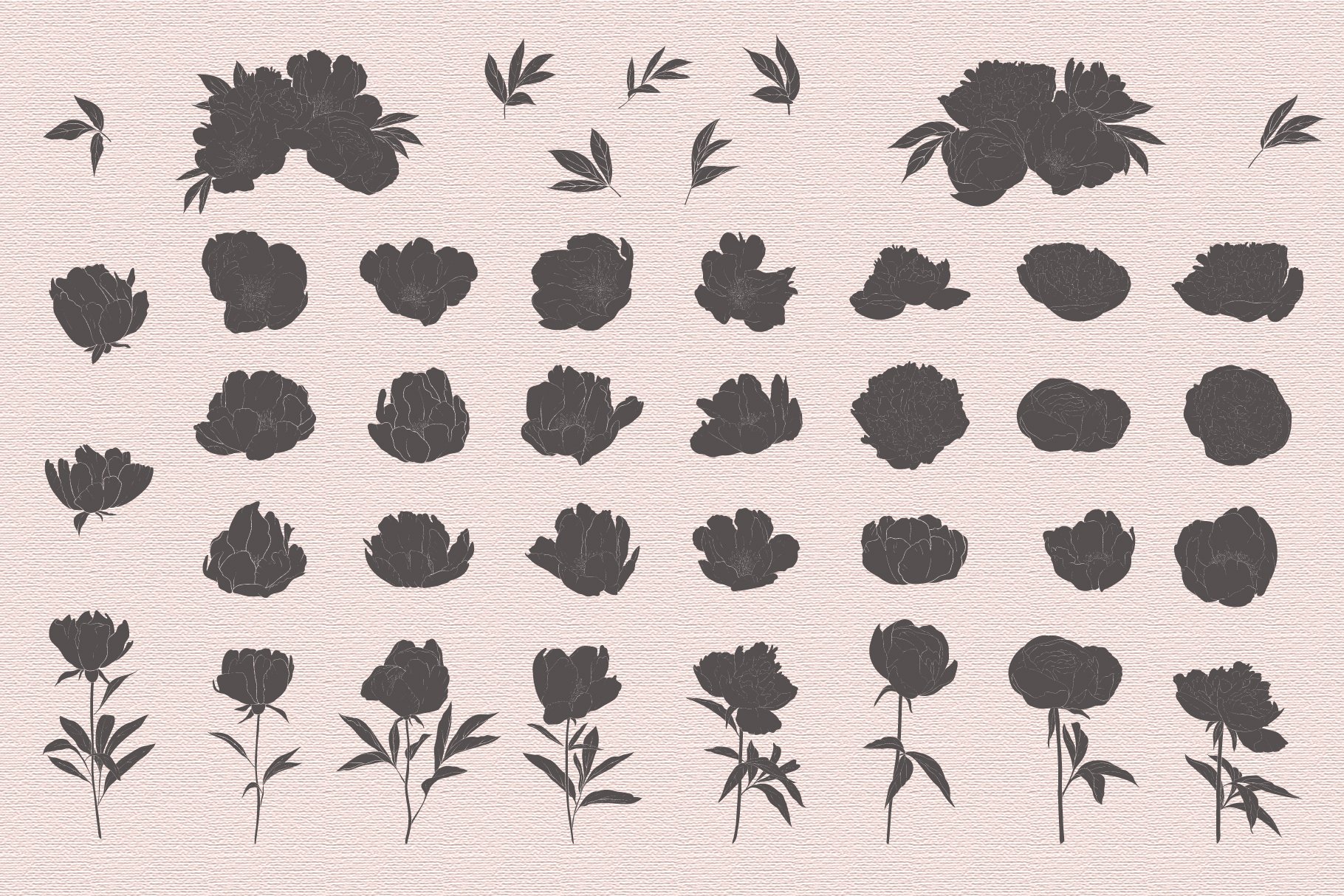peonies stamp brushes preview 5 604