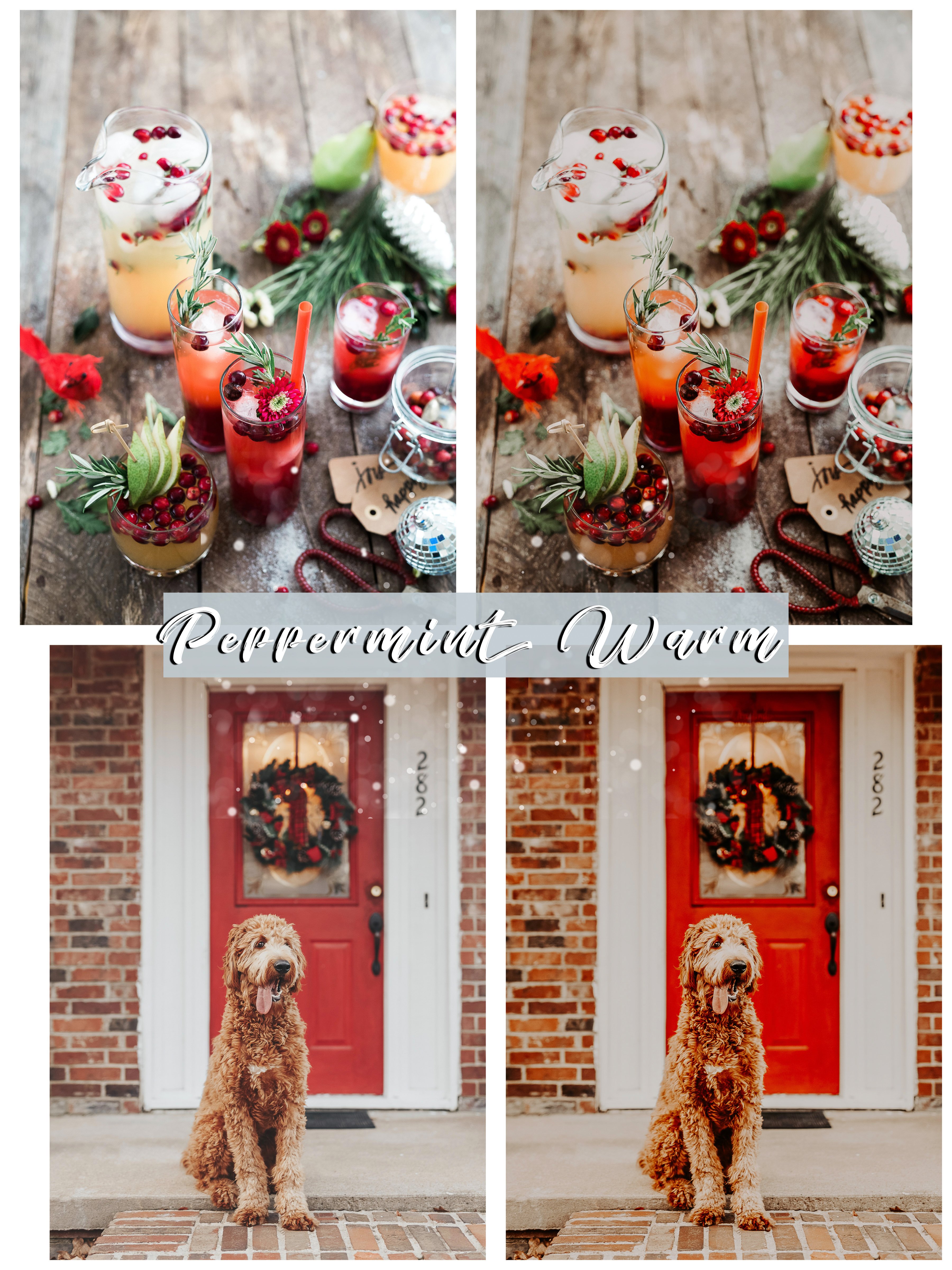 peppermint christmas holiday seasonal winter moody photography instagram lightroom preset bestseller 6 352