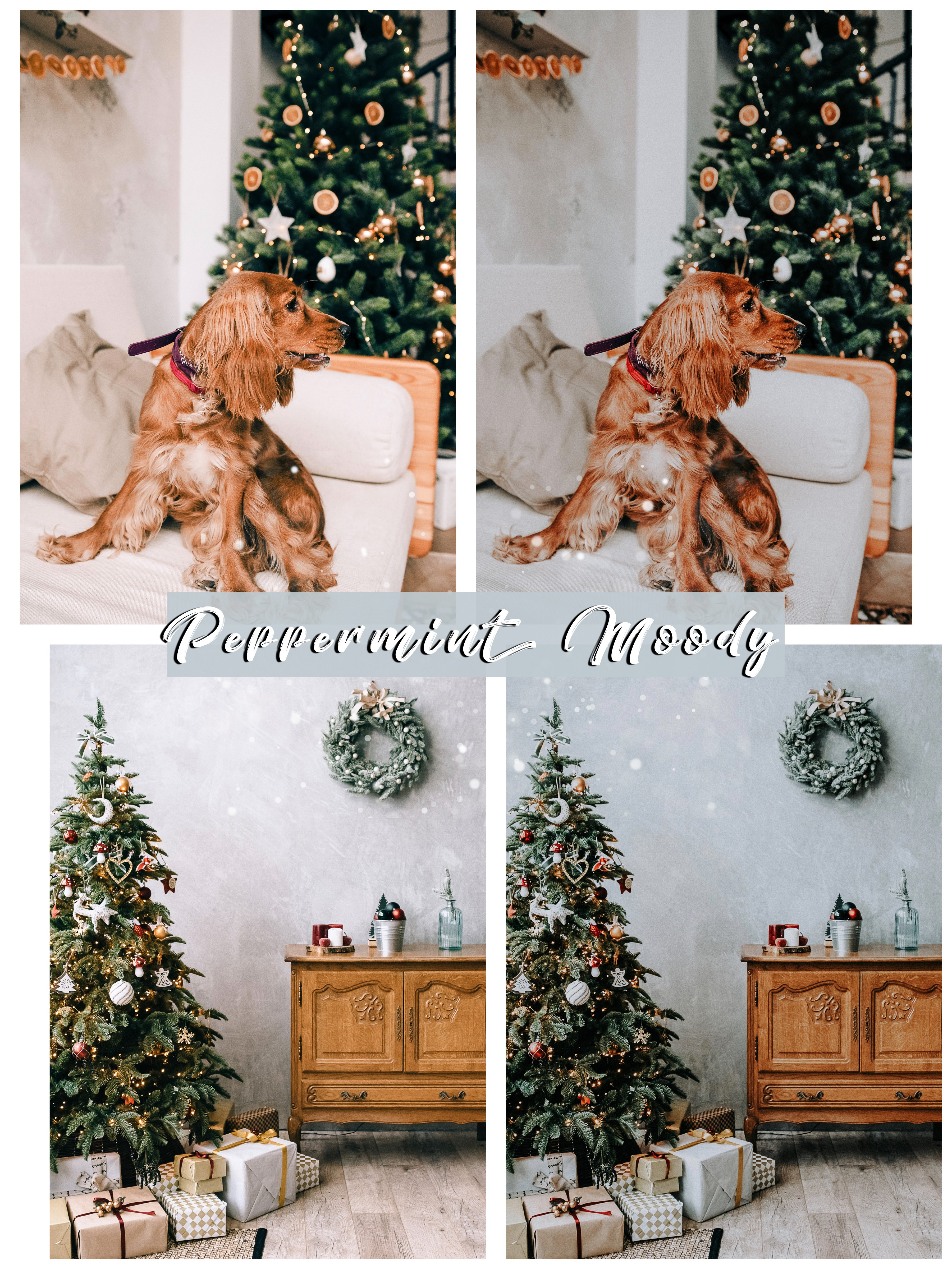 peppermint christmas holiday seasonal winter moody photography instagram lightroom preset bestseller 8 360