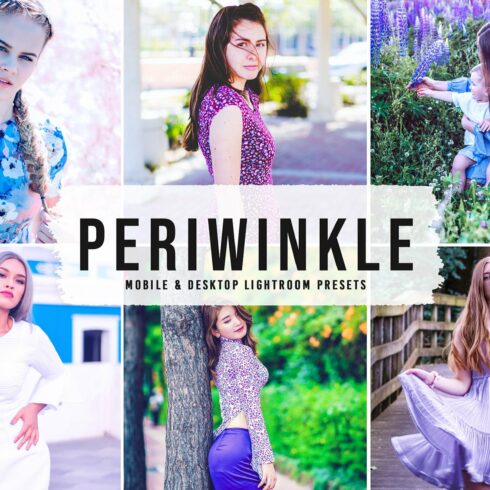 Periwinkle Pro Lightroom Presetscover image.