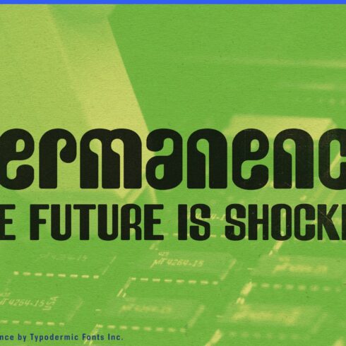 Permanence cover image.
