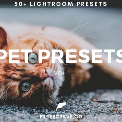 50+ Pet Lightroom Presets Vol. Icover image.